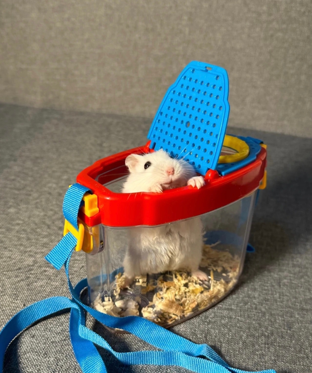 奴才：所以你是把我想的有多壞啊？