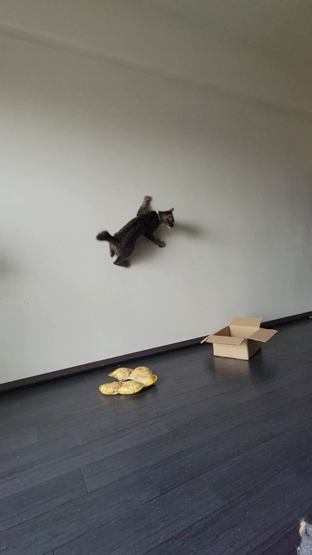 奴才：哇喔！你來真的啊