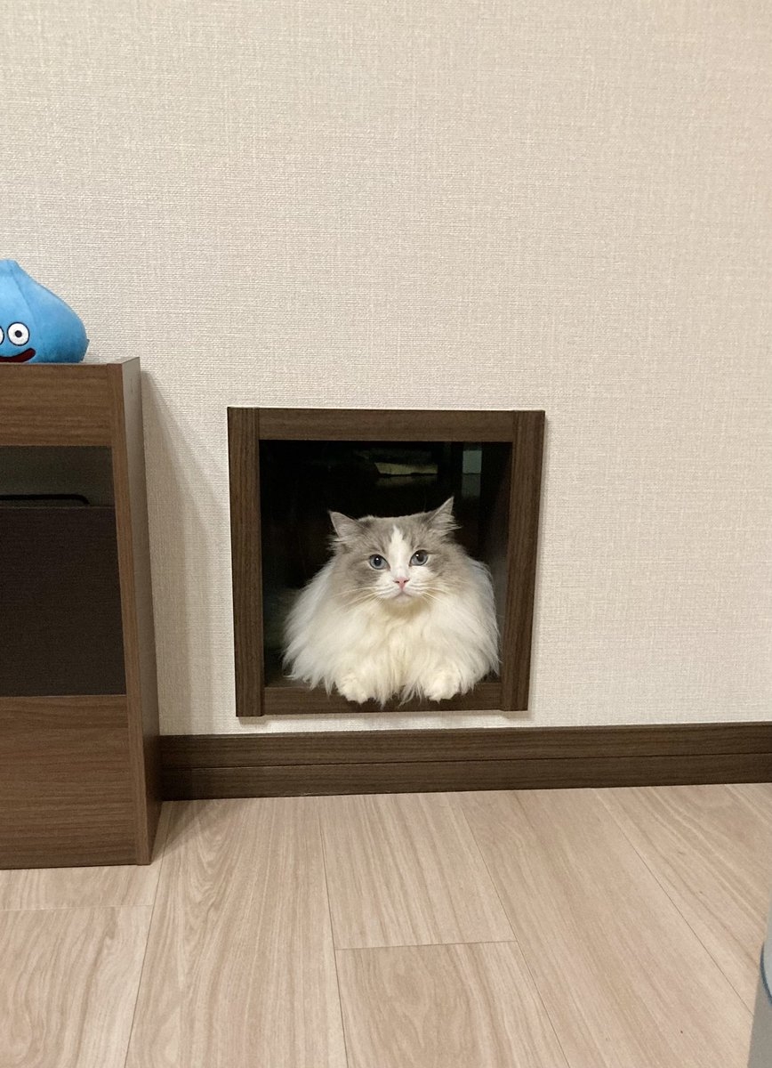 奴才：擔心你不行嗎！