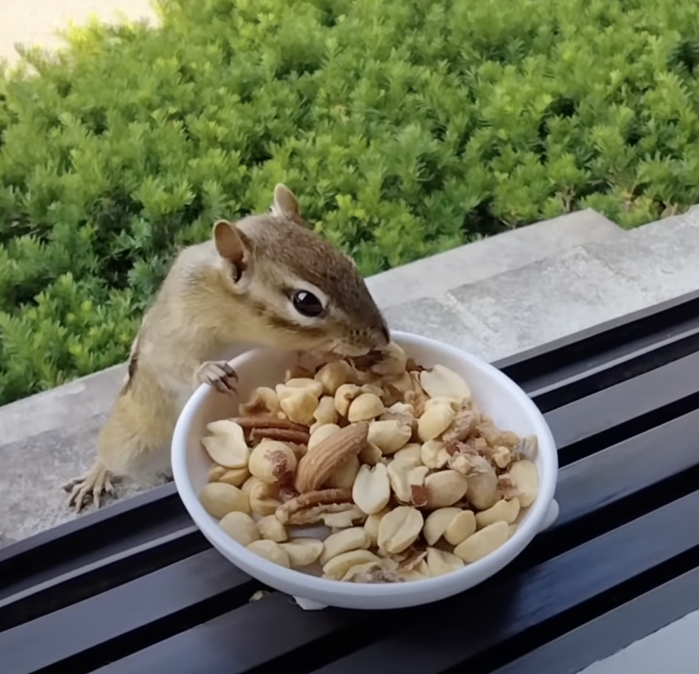 奴才：不夠還有啦
