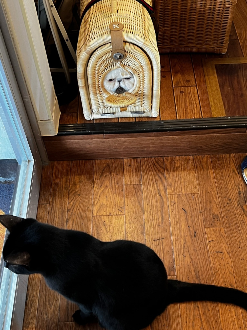 奴才：別誤會，我可沒說喔！