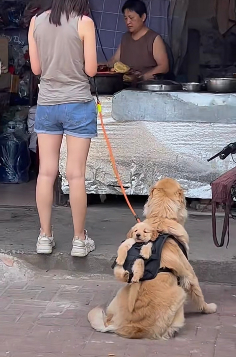 奴才：你的孩子當然你自己顧啊