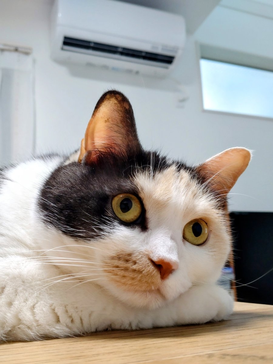 奴才：別這樣，看了真的忍不住啊