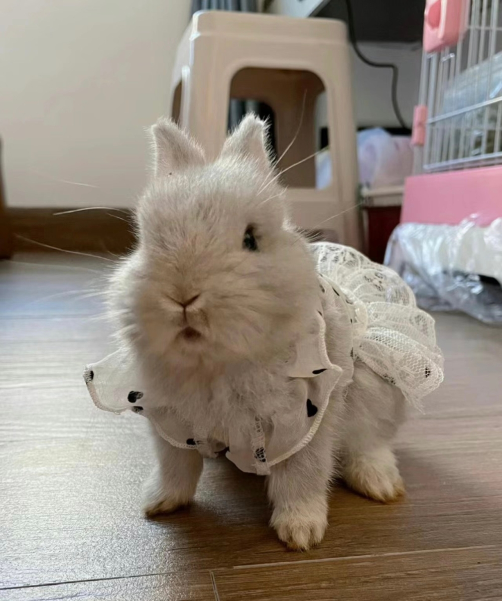 奴才：沒想到你那麼喜歡啊