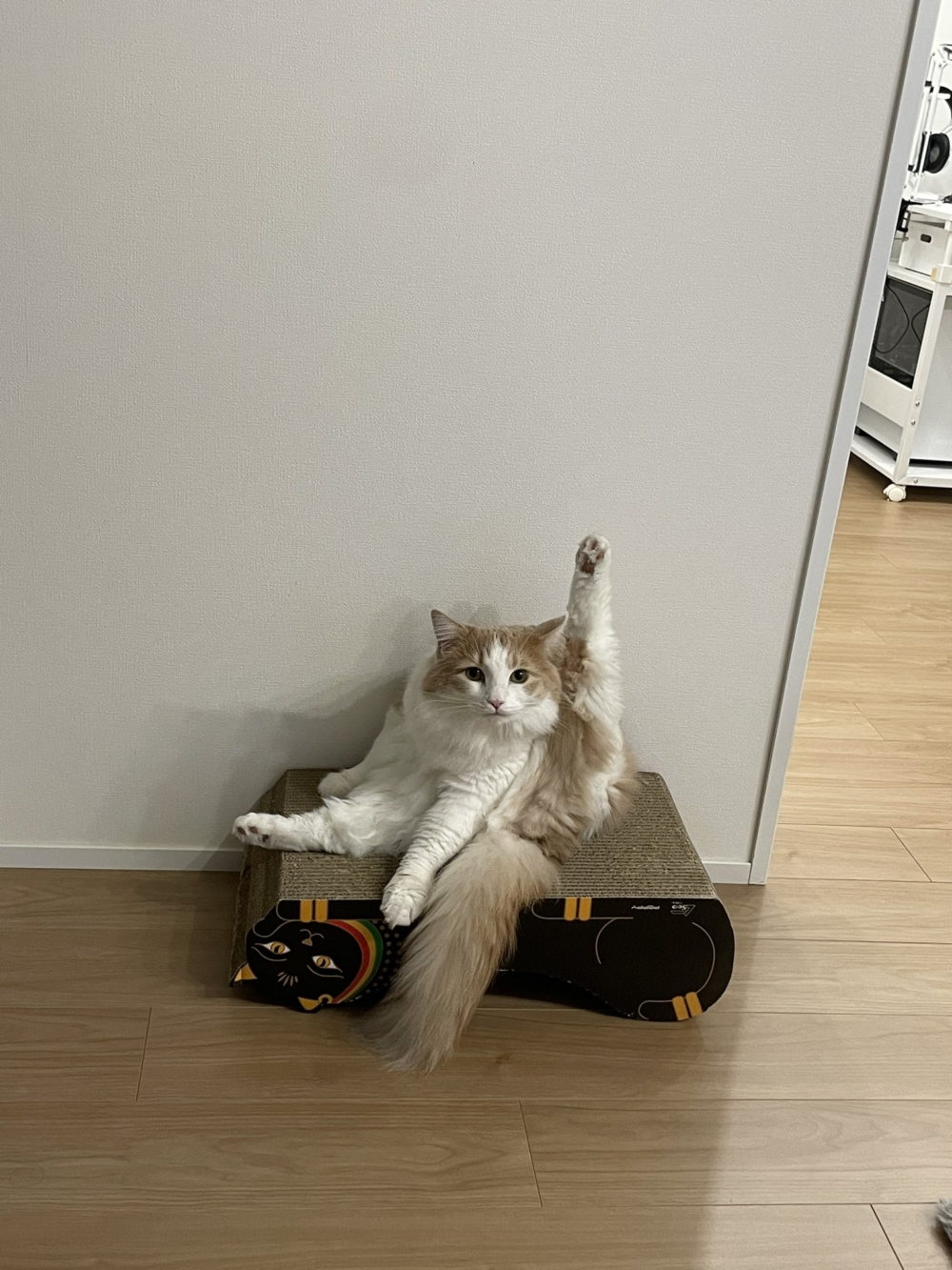 奴才：你看不起我嗎？