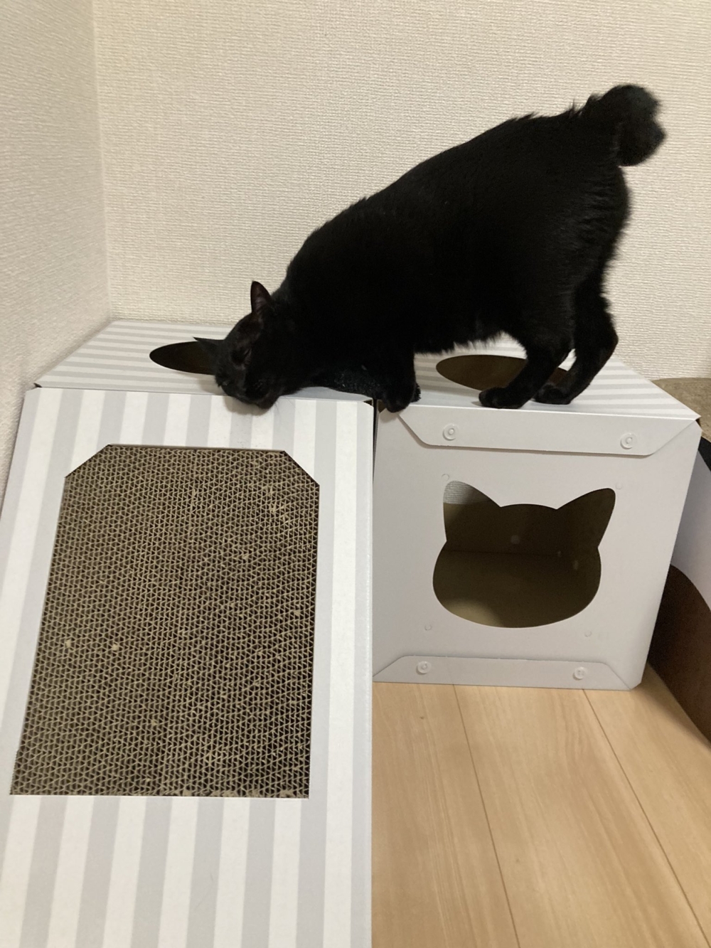 奴才：你喜歡最重要喔