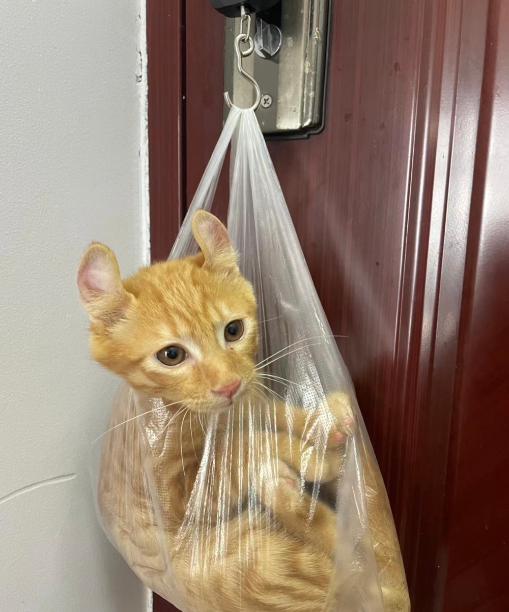 奴才：沒有要賣掉你啦