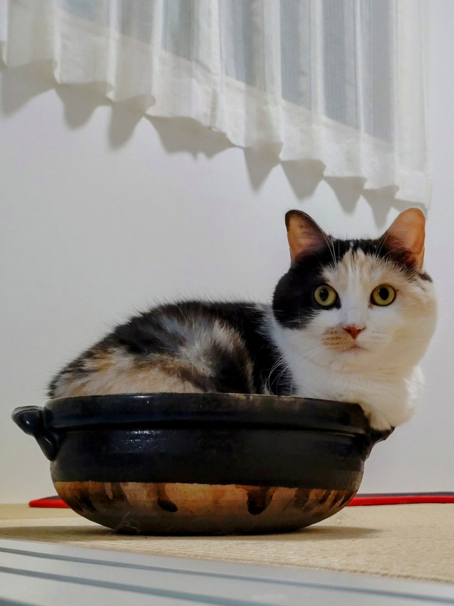 奴才：沒事，只有我知道啦