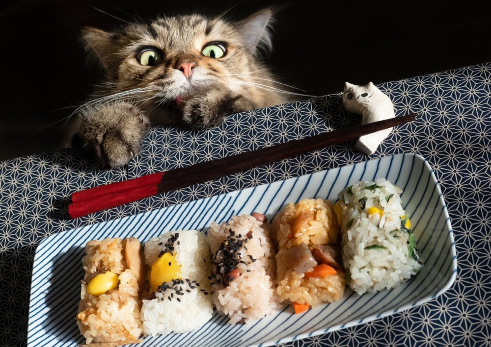 奴才：口氣真大啊