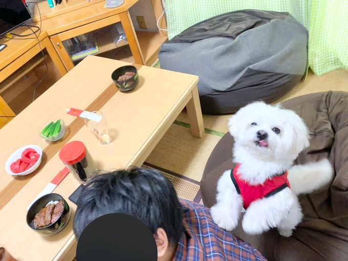 奴才：你不能吃喔