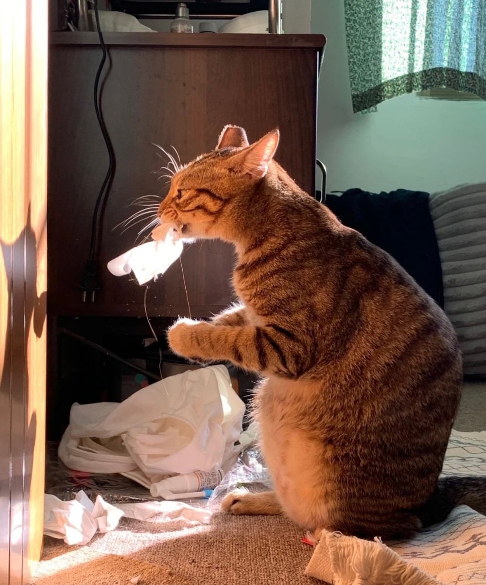 奴才：真拿你沒辦法喔