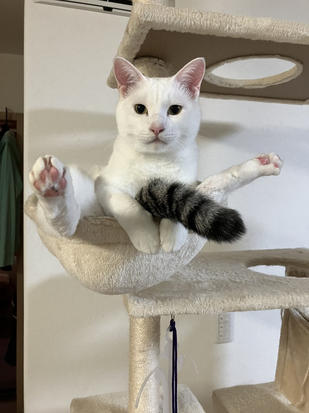 奴才：你蠻有自知之明的捏