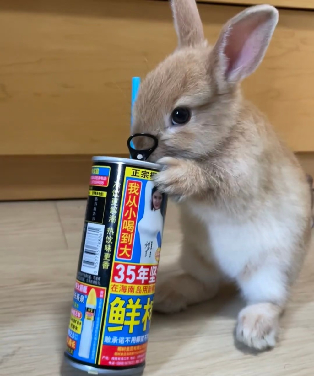 奴才：你別那麼嘴饞啦