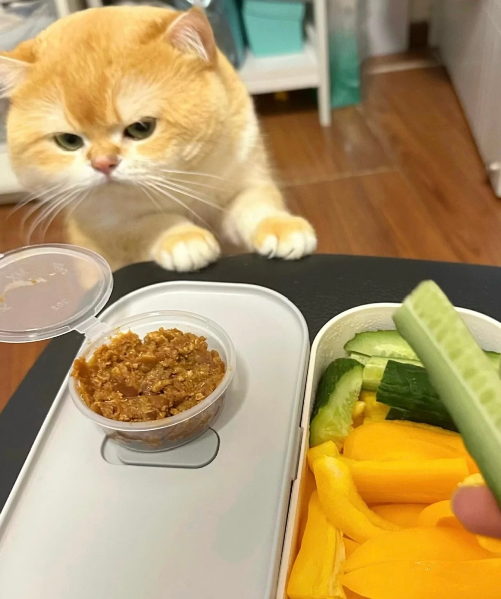 奴才：這個你不能吃喔