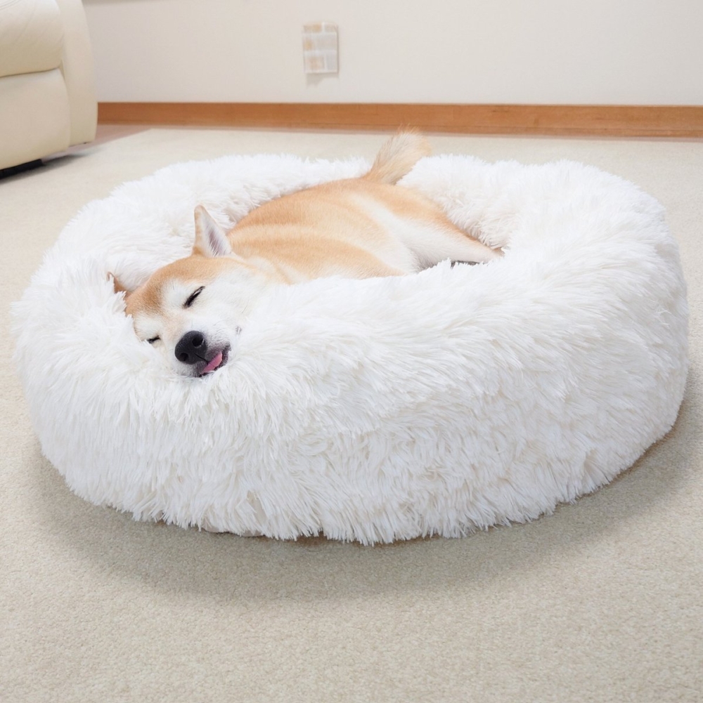 奴才：求生慾好強啊