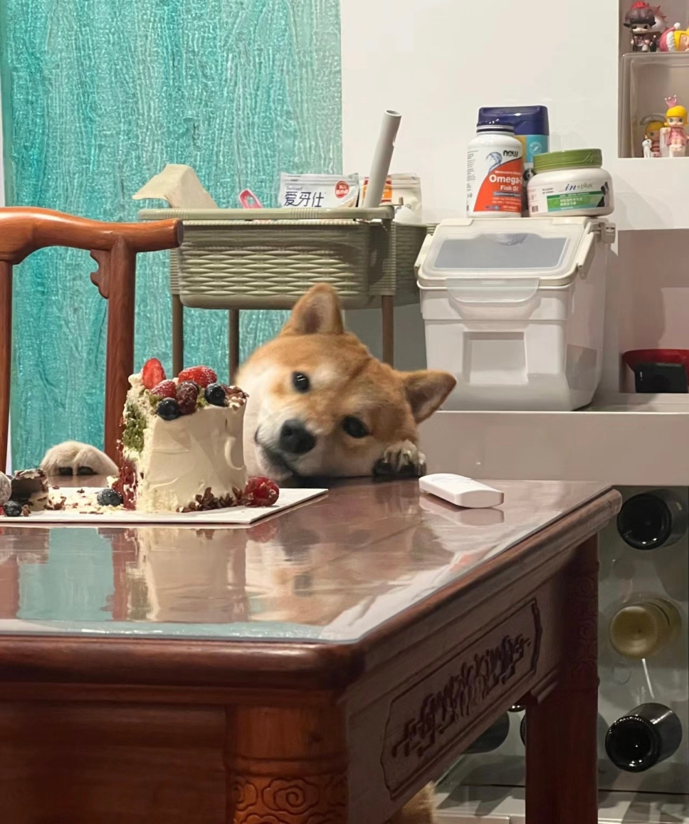 奴才：可惜你不能吃啦