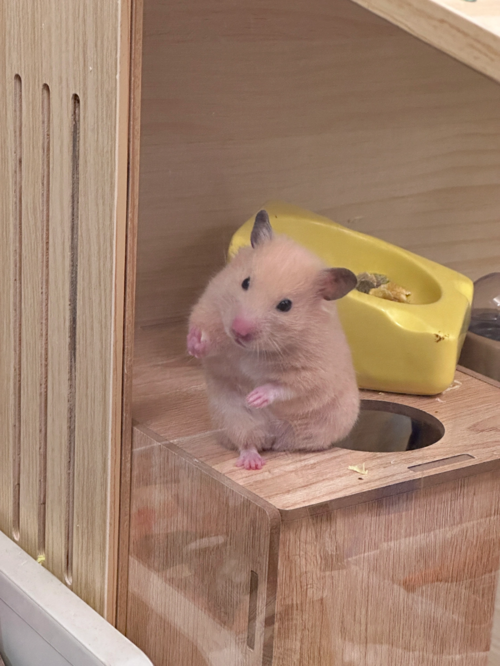 奴才：你還會不好意思喔