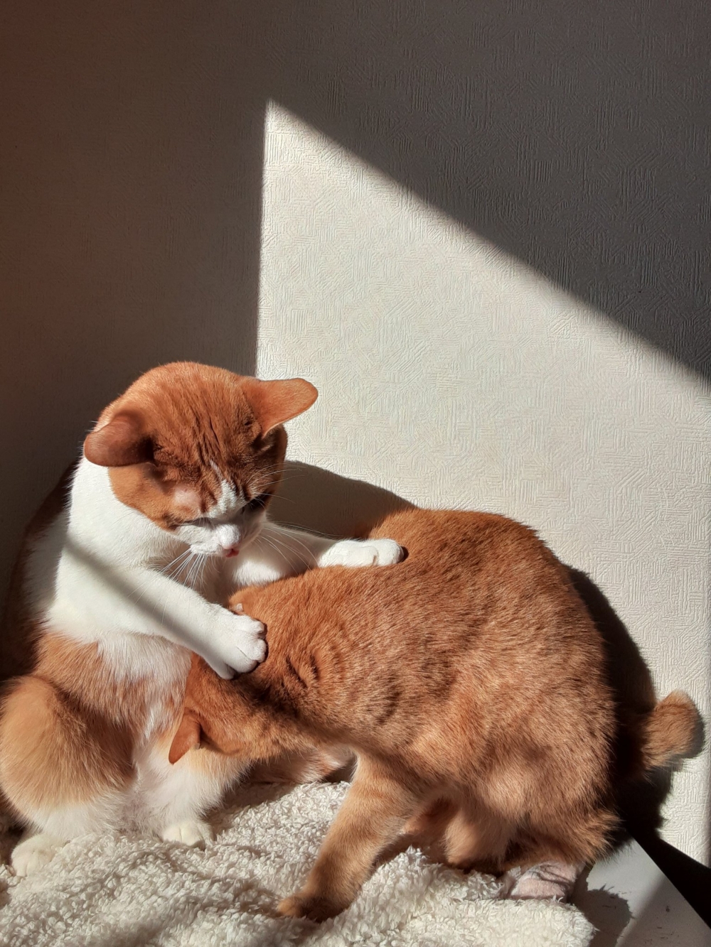 奴才：哇噻！刮目相看了