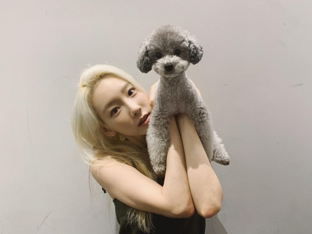 金太妍與「Zero」