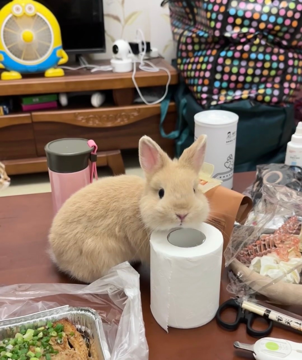 奴才：別用這種眼神看著我啦