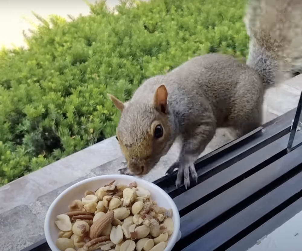 奴才：有得吃你還挑喔