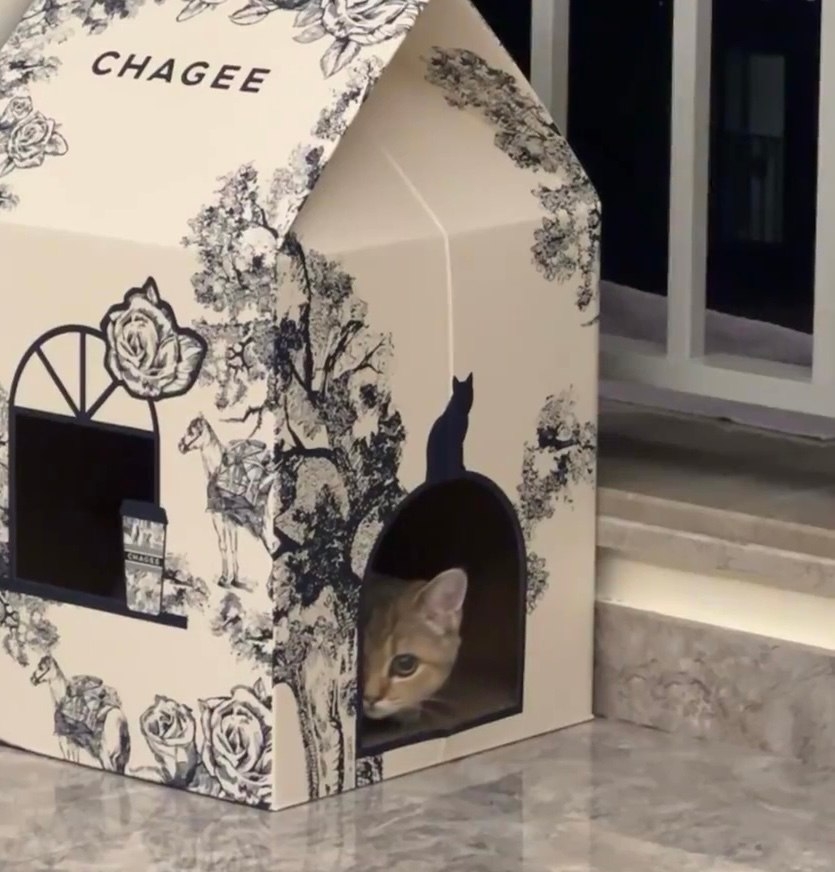 奴才：這是最重要的啦