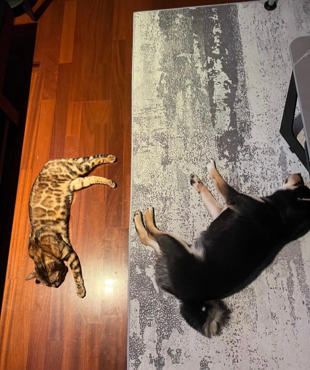 奴才：那我也不好說什麼囉～