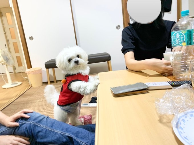 奴才：真的不行啦