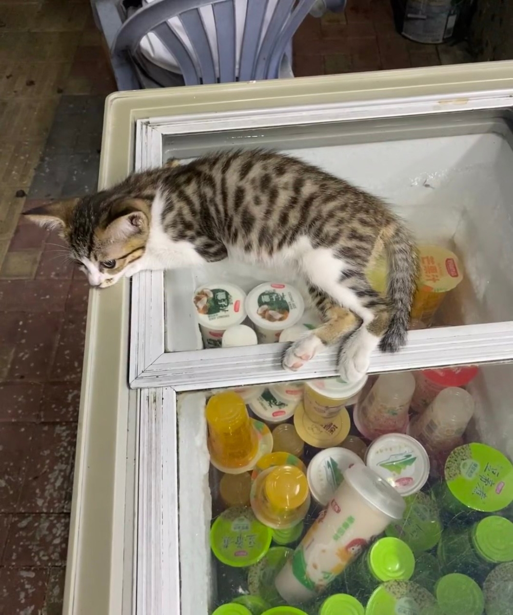 奴才：不過你很會選位置嘛