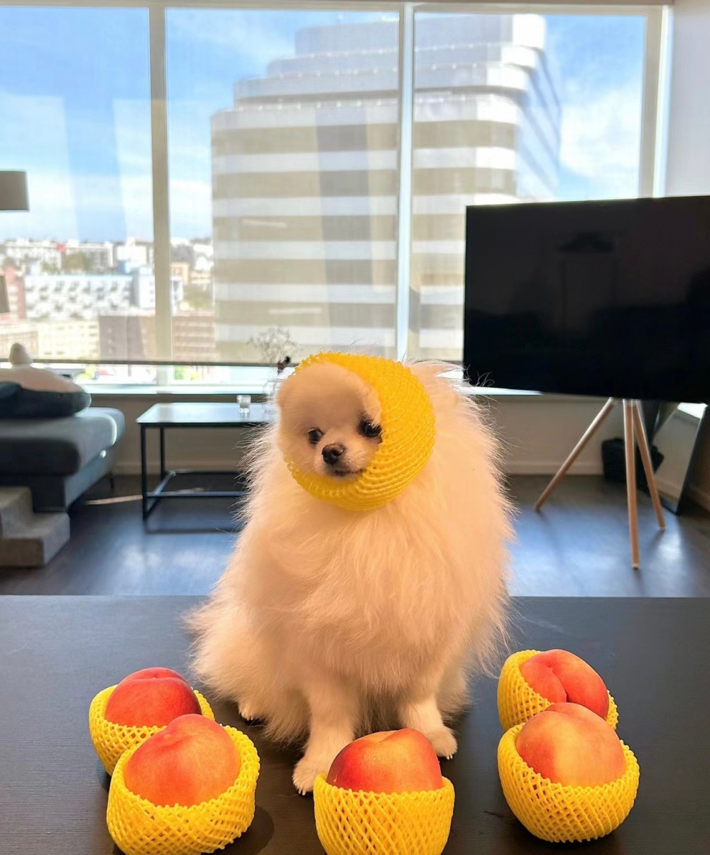 奴才：我覺得還不錯啊