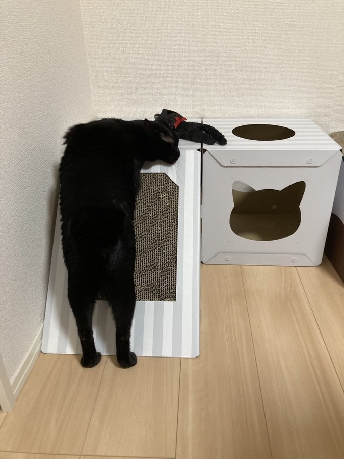 奴才：那我就放心了