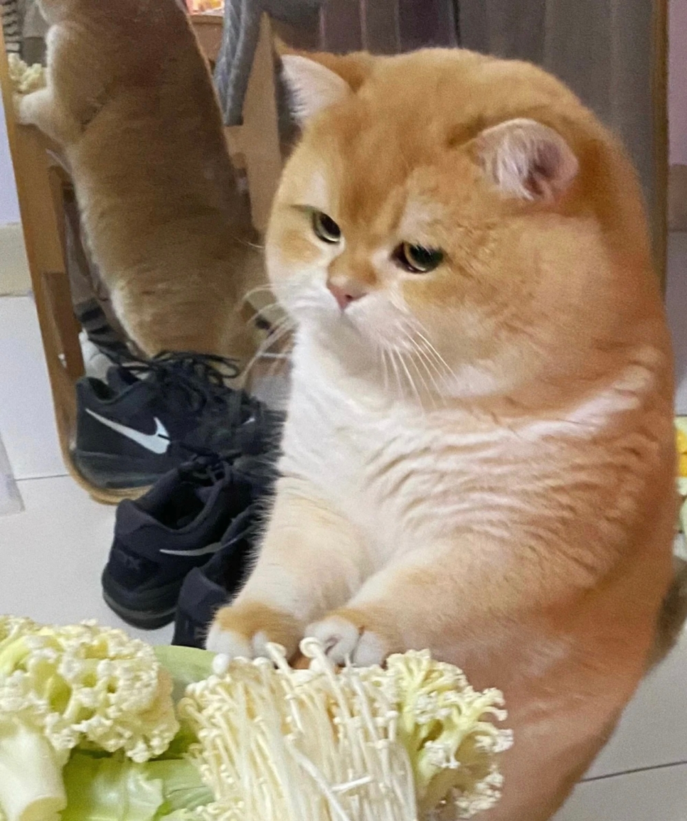 奴才：因為這個調味了