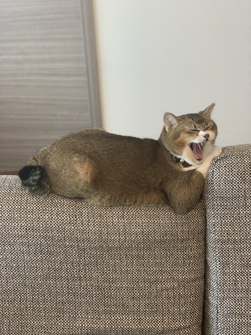 奴才：我也就是擔心你發生意外啊