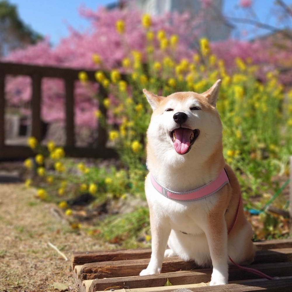 奴才：小心我沒收喔