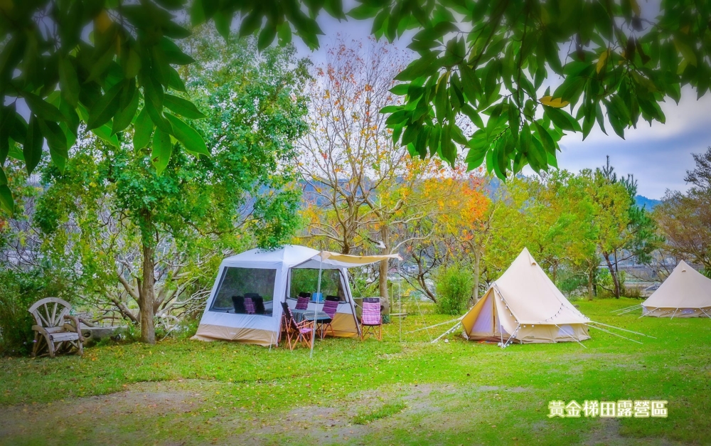 黃金梯田露營地