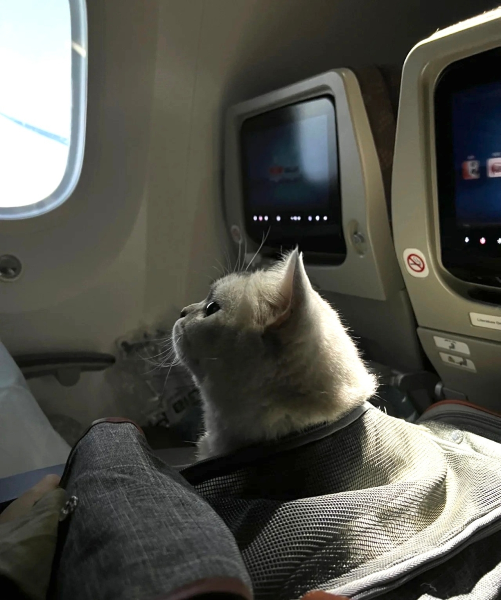 奴才：我就知道你是最棒的