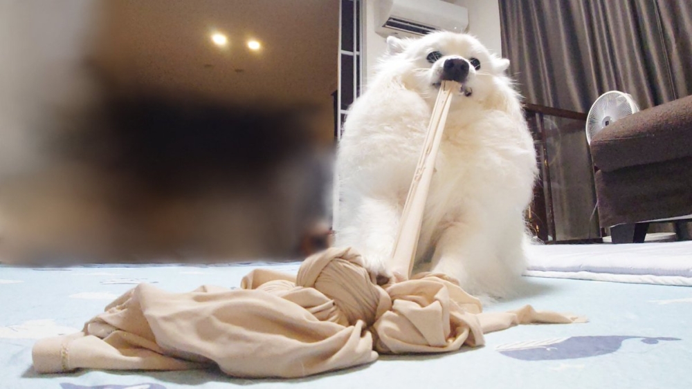 奴才:這才是你的心聲吧~