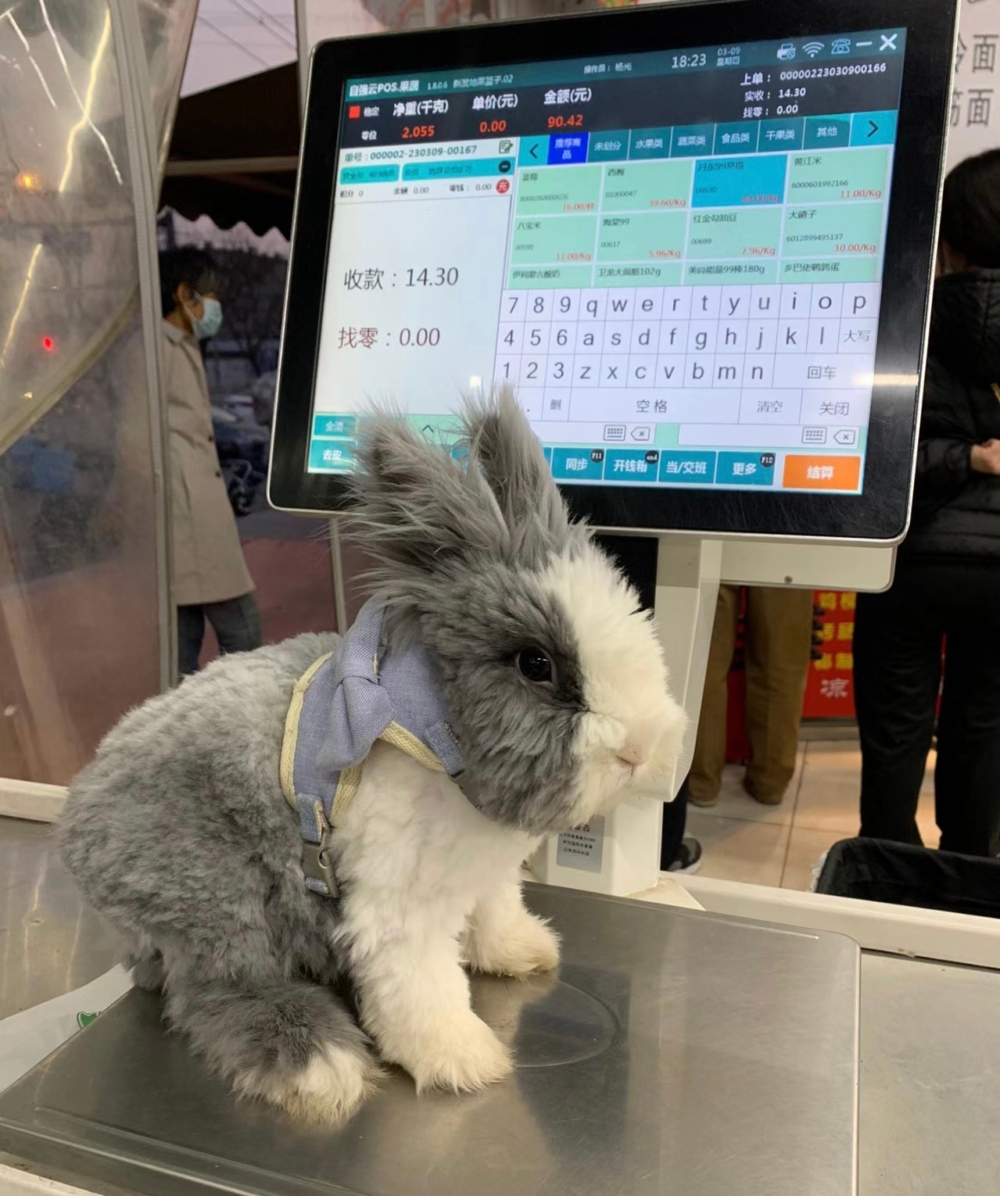 奴才：確實這顯得有點廉價了