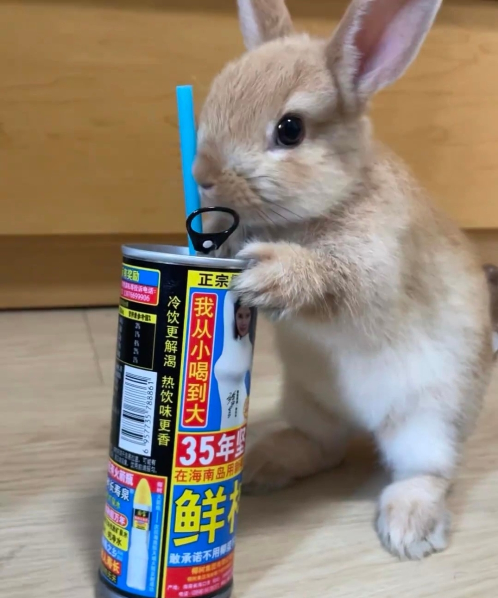 奴才：你幹嘛都盯著我的飲料啊