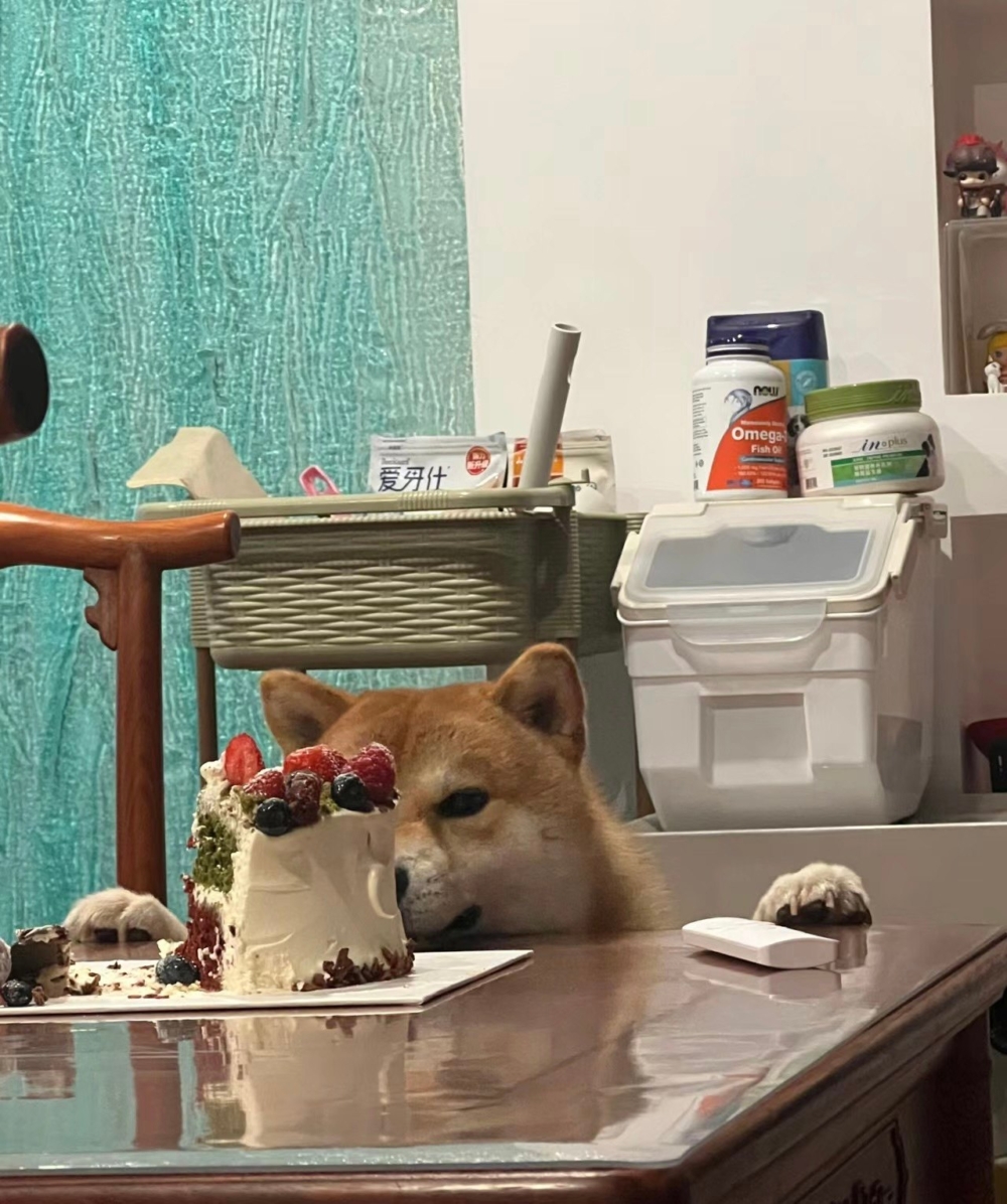 奴才：還算聰明喔