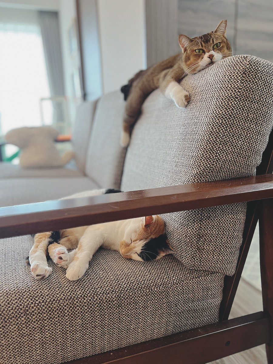 奴才：那你就多注意安全啊