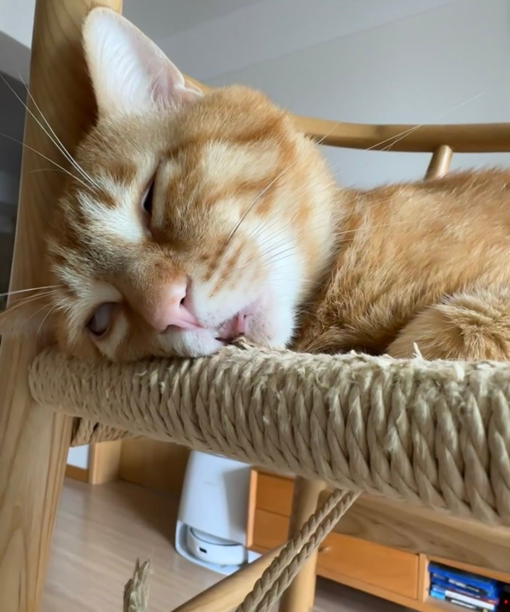 奴才：不至於吧～