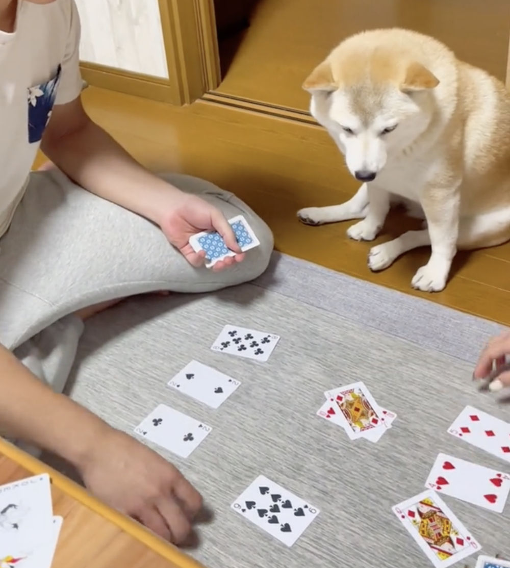 奴才：不是忘了，是你不會玩啊