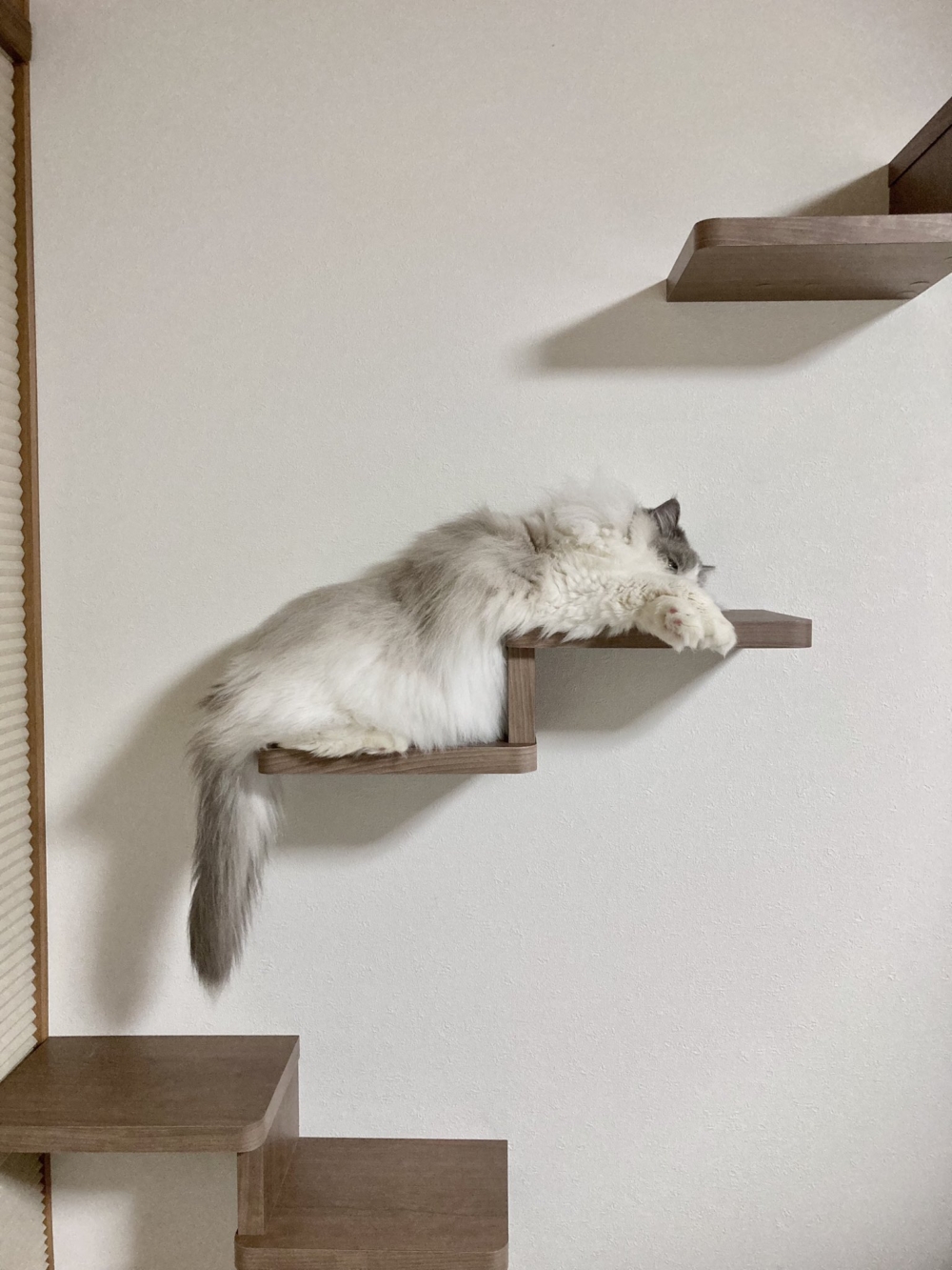 奴才：你說得對