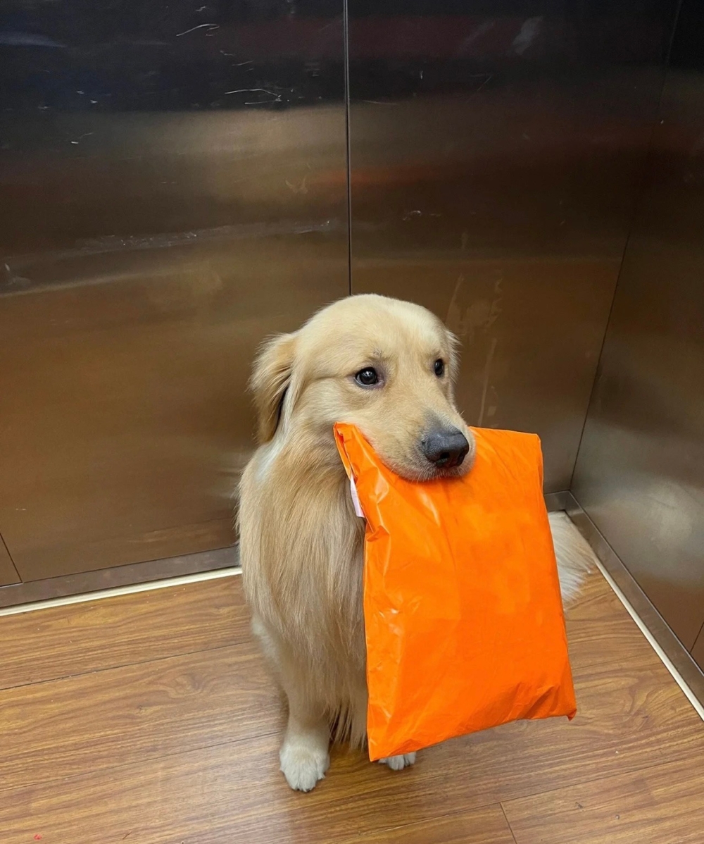 奴才：沒事，當作運動也是好的