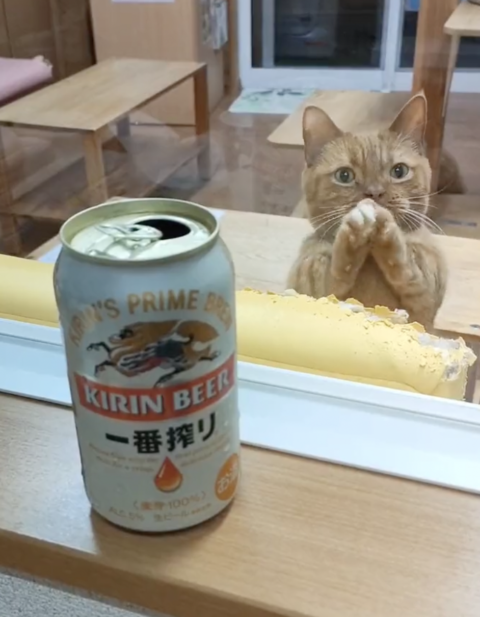 奴才：這個含酒精，真的不騙你囉！