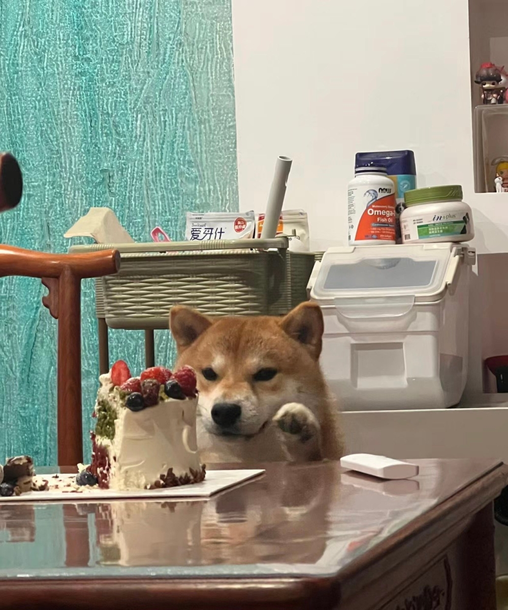 奴才：你覺得呢？