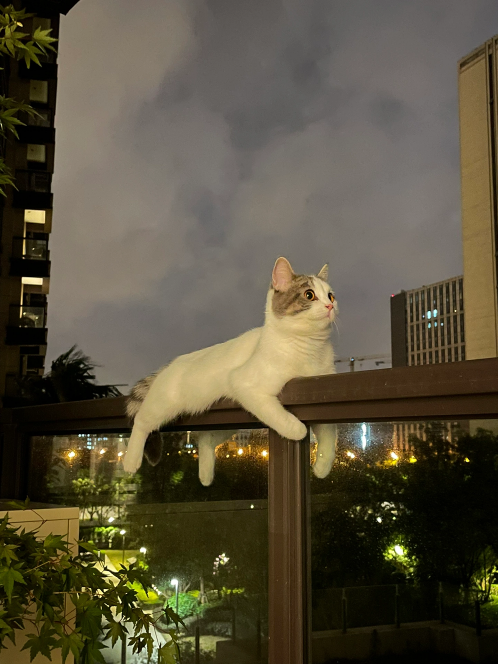 奴才:求你別去那邊啦