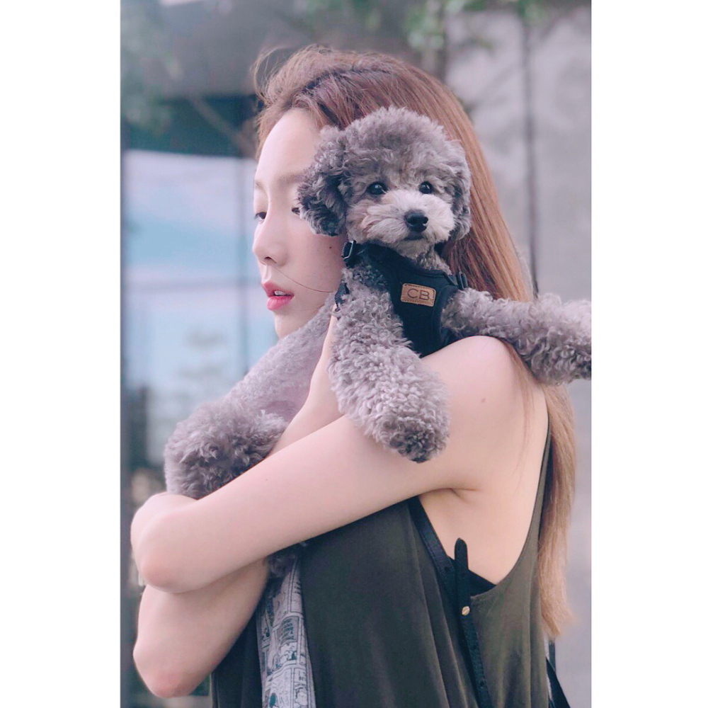 金太妍與「Zero」