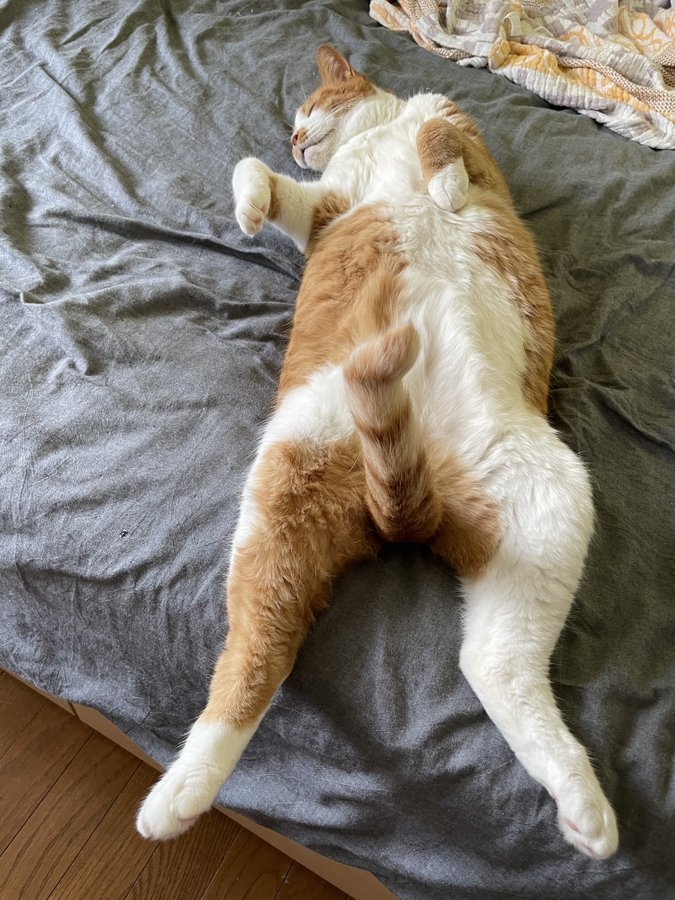 奴才：你真的太會了